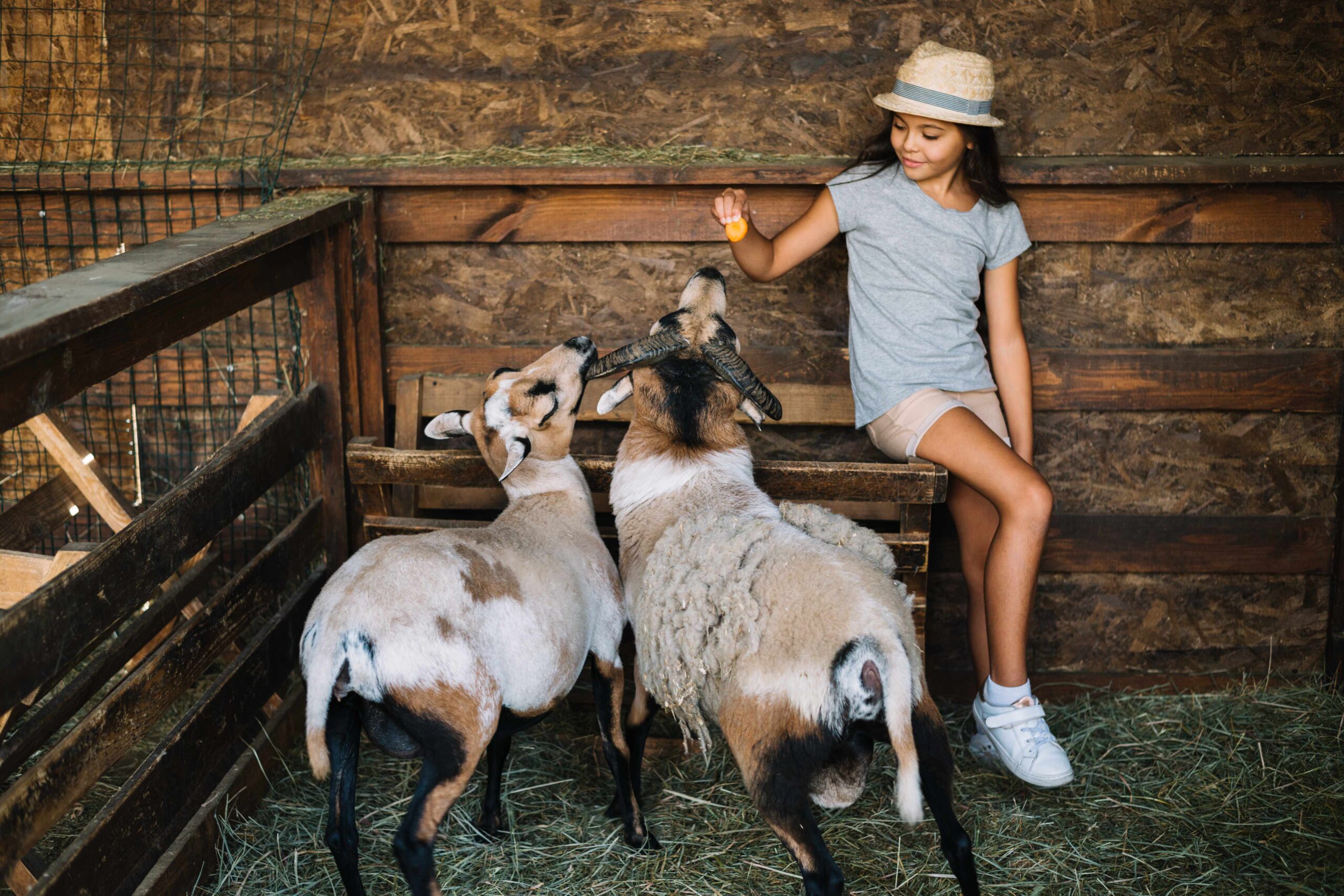 Animal Farm